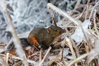 《海贼王：奥德赛》全新预告 明年1月12日发售
