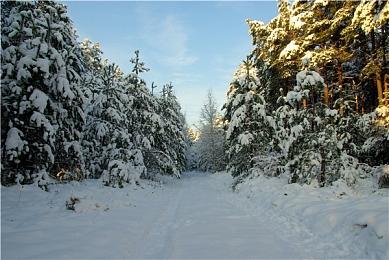 《海绵宝宝：宇宙摇摆》万圣节预告 支持中文